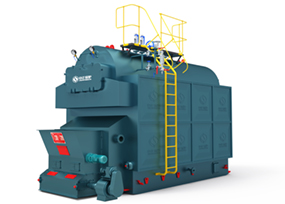 DZL系列生物質鍋爐 5.jpg