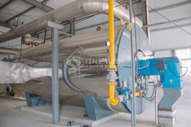 用心成就專業 中正鍋爐為猛獅能源成功定制解決方案