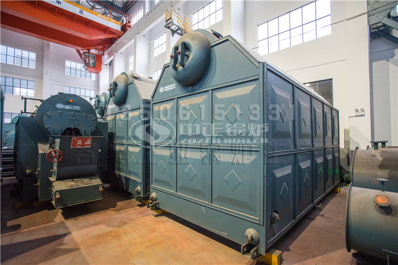 20t生物質鍋爐投資